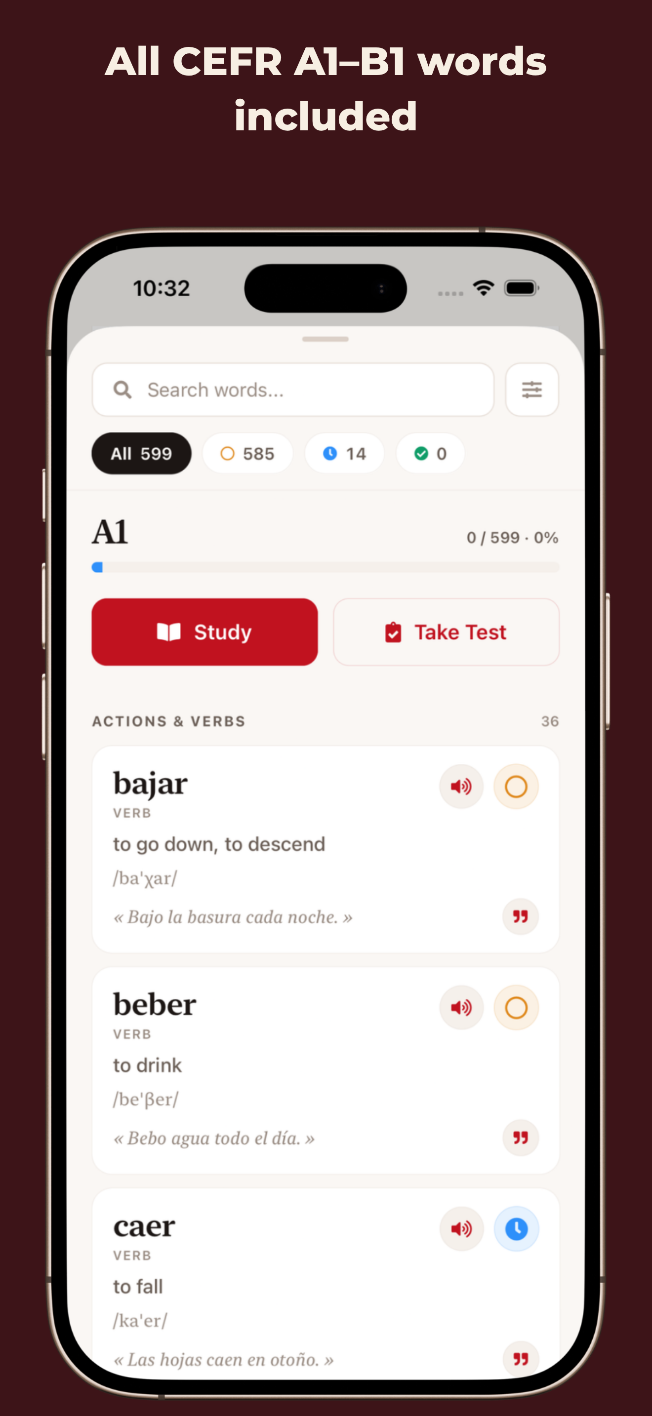 Progress tracking in DELE A1 to B1: Flashcards